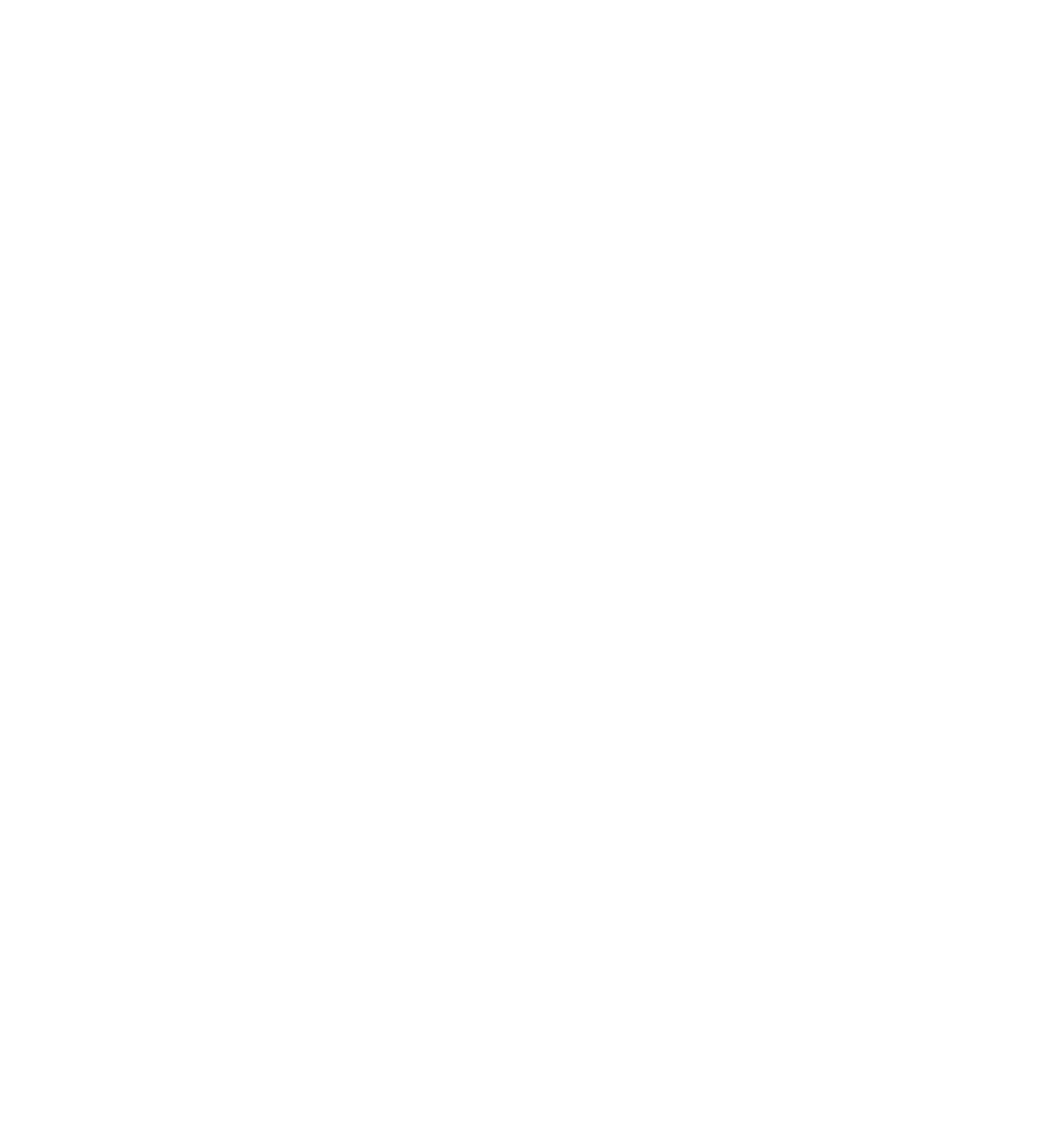 BSI White 2