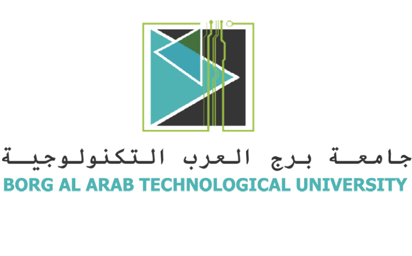 Borg_El_Arab_Technological_University_1