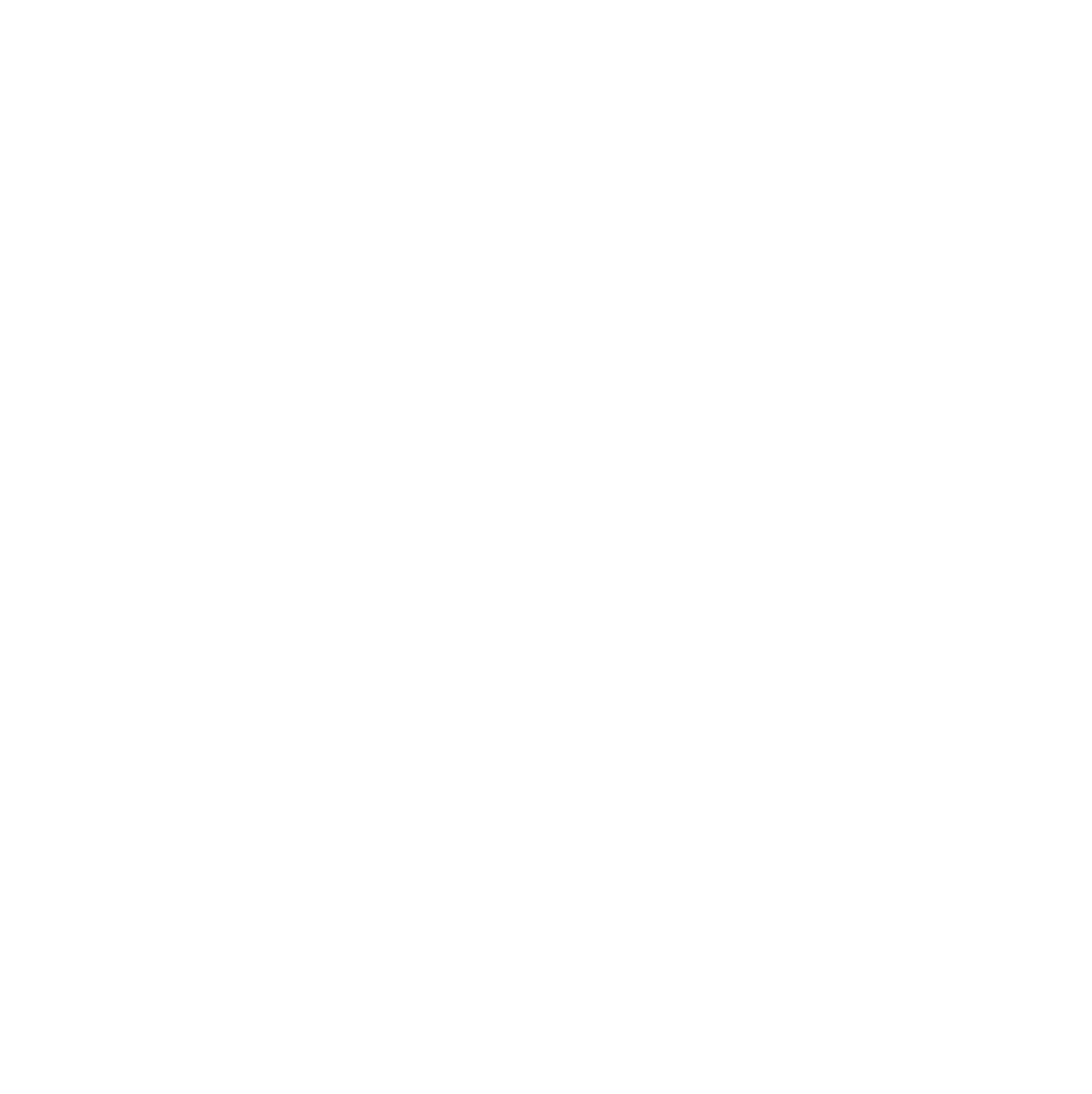 FM Logo white