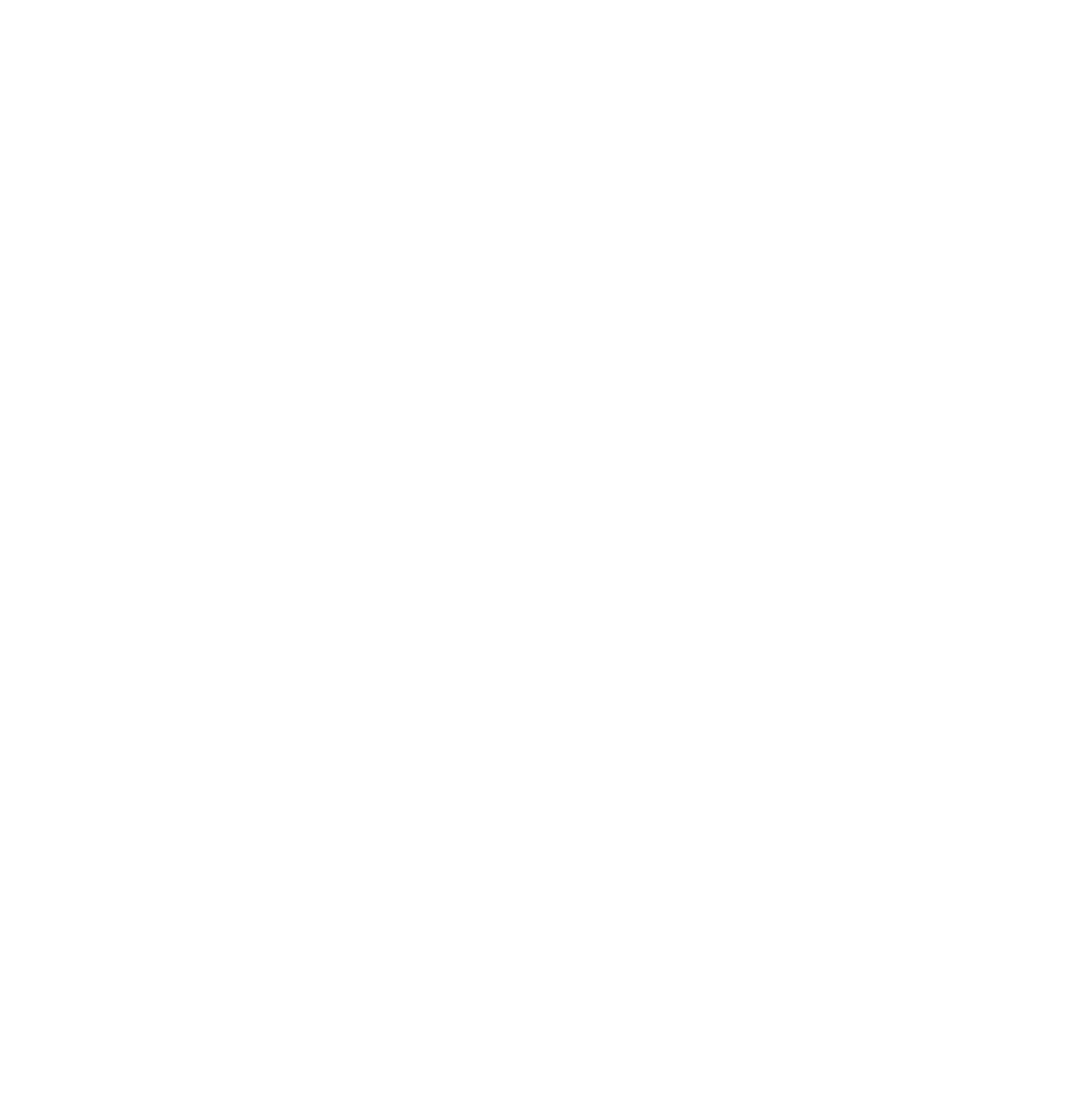 VDS Logo white new